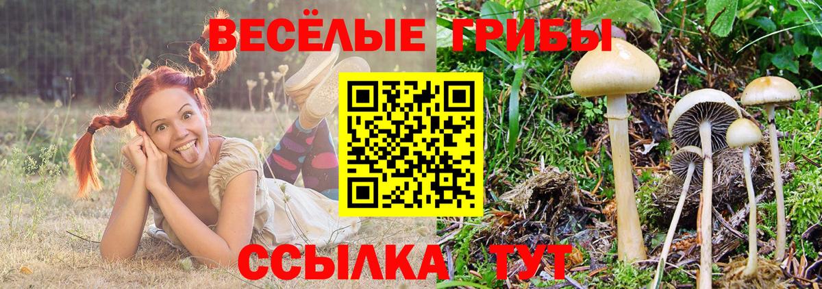 Псилоцибиновые грибы Magic Shrooms Керчь