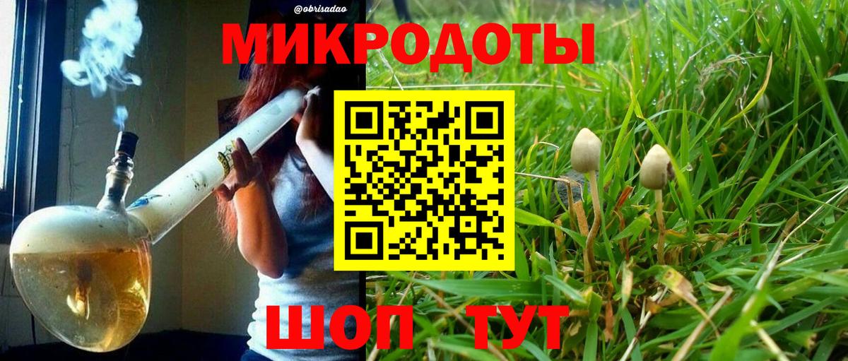 Керчь  Галлюциногенные грибы прущие грибы  Вход с VPN 